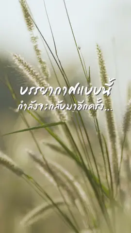 #นั่งเล่น #นั่งที่ไหนก็ไม่สบายเท่านั่งที่นั่งเล่น #GMMShow 