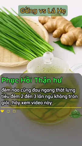 Thận yếu, tiểu đêm? Hẹ và gừng là cứu tinh áp dụng ngay nhé #Thanyeu #Suckhoetunhien #gunglahe #meosuckhoe #thucduong #meodangian #suckhoe #thaoduoc #xuhuong