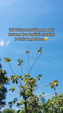 Kasar#nttpride🏝🔥 #nttpride🏝🔥kupangntt💯 #foryoupage #foryou #kupangtiktok #fyp #viral #masukberandafyp #galaubrutal🥀 #trend @semua 
