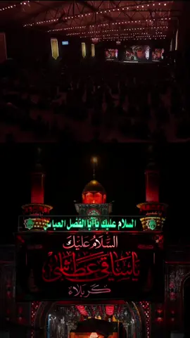 #كفيل_زينب_أبي_الفضل_العباس #قمر_بني_هاشم #ابوفاضل #ساقي_عطاشى_كربلاء #ياعباس #يانفس_من_بعد_الحسين_هوني 