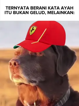 hina aja terus kan emang hina😭🙏🏻 #tifosi #ferrari #f1 #formula1 #formulaone #cap #lewishamilton #charlesleclerc #memes #f1memes #fyp #letdown #sad 