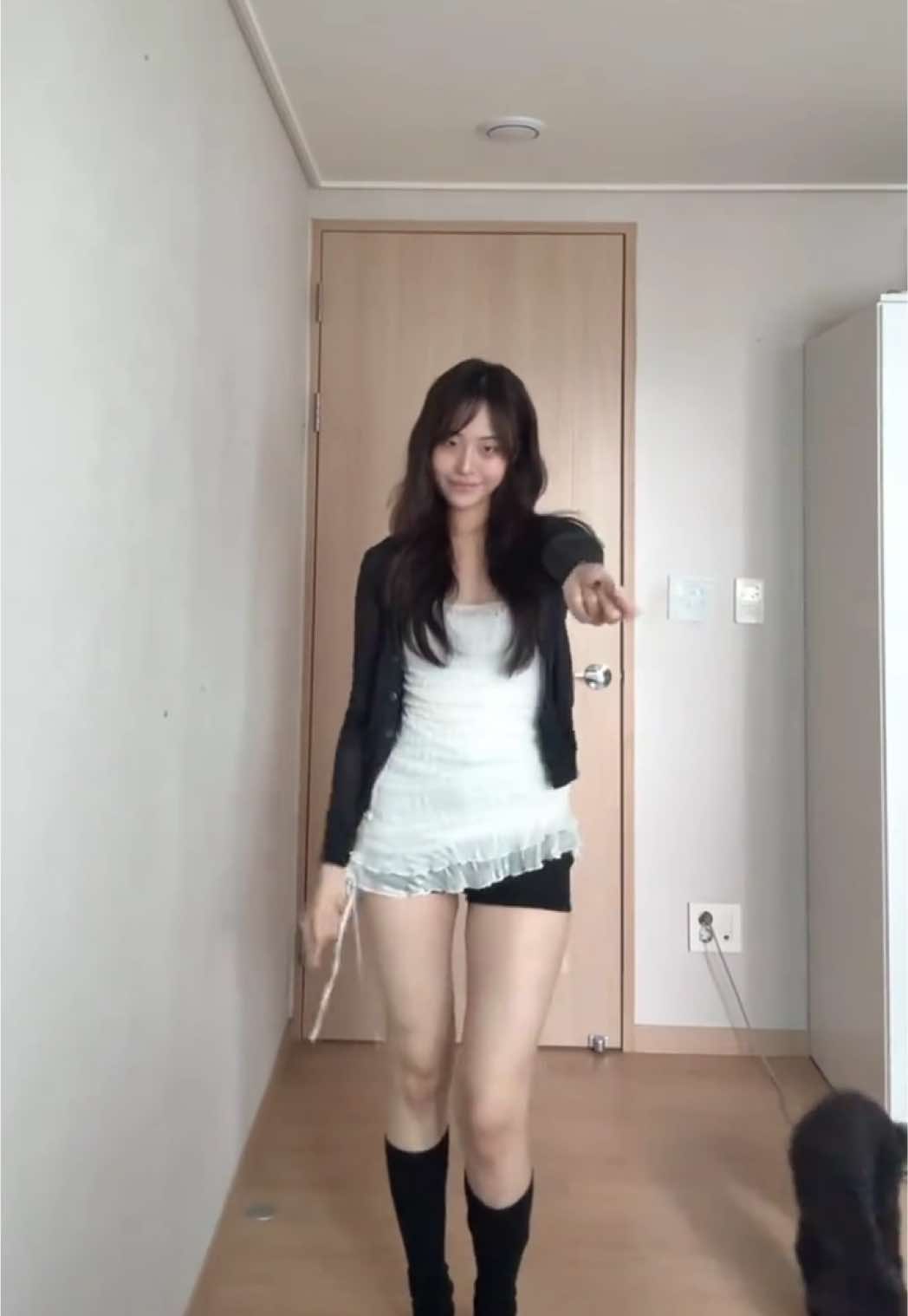 저희집강아지에요