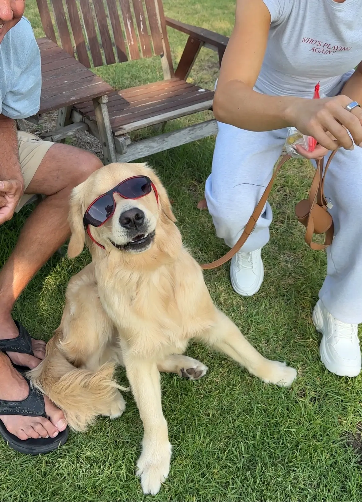 #dogmom #goldenretriever #dogsunglasess #puppytiktok 