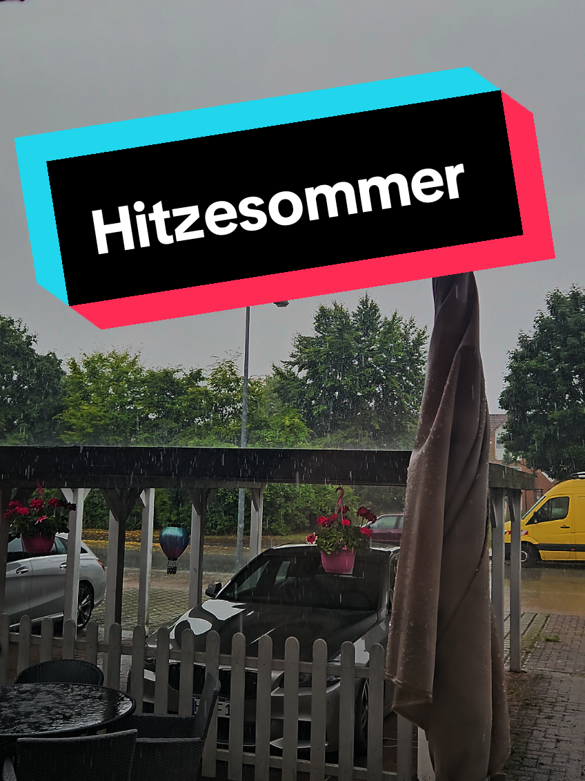 Hitzesommer 2025 🤣 😂  #hitzesommer #sommer #fürdich #regen 
