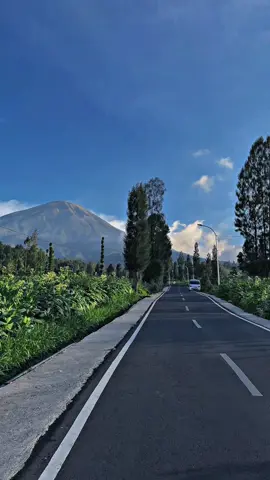 Secandu ini jalan alternatif temanggung - wonosobo via tambi 🌲⛰️🌳  📍Silembu street view  #CapCut #jelajahliburan #temanggung #wonosobo #viral #fyp #fypシ #foryou #wonderfulindonesia #indonesia 