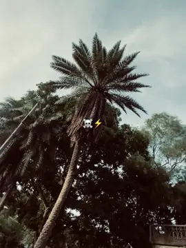 ☠️⚡ #fpyツ #tiktok #foryou #vairal_video #villain🤝☠️ @TikTok @TikTok Bangladesh  @😈VILLEN😈 OFFICIAL 😱  @_xishat⚡🩸  @_xishat⚡🩸 
