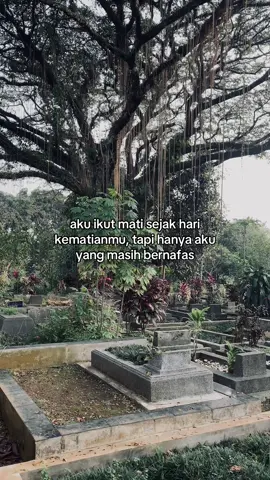 aku lupa jalan pulang meskipun aku sudah dalam rumah🥀💔 #fyp #4u #sadvibes #lasthome 
