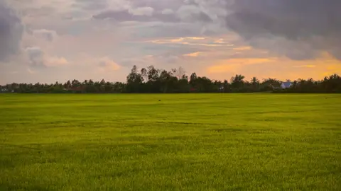 Ai gieo thương nhớ mà em thẩn thờ vậy🥰🌾#chill #binhyen #tamtrang #hoanghon #68kiengiang 