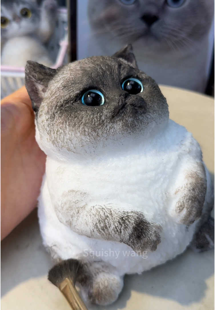 The happy life with a kitten .#DIY #squishy #cat #dog #kitty #art #cute #handmade #puppy #craft #foryou #fy #custom #teddy #ragdoll #bird #painting 