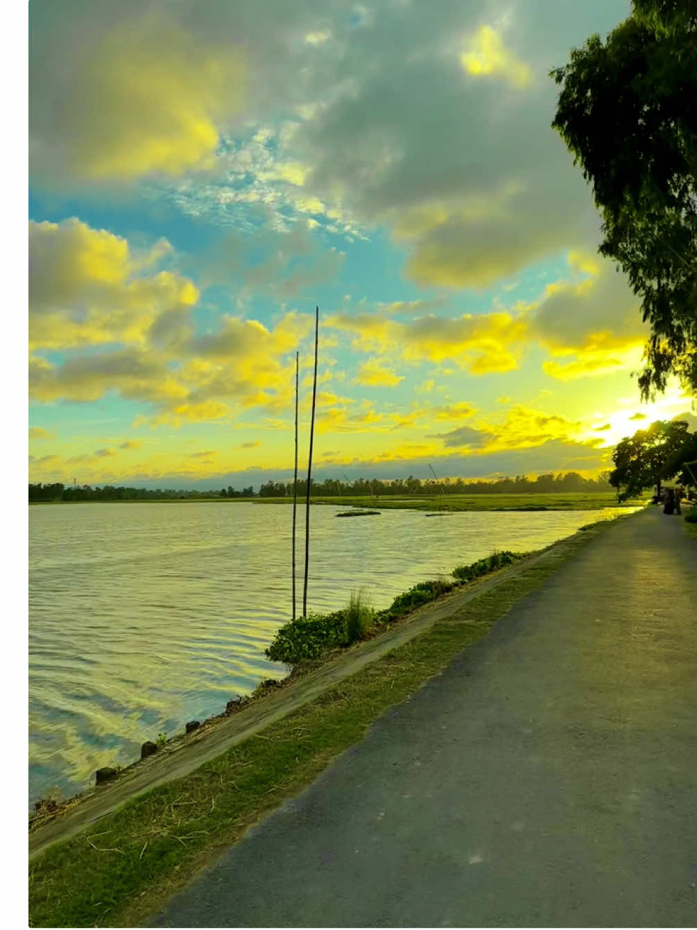 কেন যে তোর মনের মতো হয়তে পারলাম না..! কত ভালোবাসি তোরে কইতে পারলাম না..😅#foryou #videography #foryoupage #vairal_video_tiktok @TikTok 