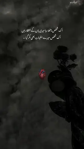 🫠💔. #urdlines🥀 #deeplines #unfrezzmyaccount #viewsproblem😭 #onemillionaudition plz TikTok team unfreezemyaccount @TiktokPakistanOfficial 