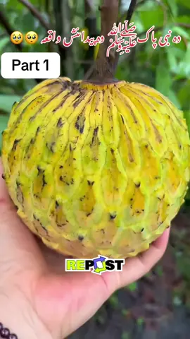 Part 13| pashto bayan❤️🙏 دہ نبی پاکﷺ دہ پیداںئش واقعہ 🥺🥹#muhammadsaw #fypシ #foryoupage #fruit #cuting #50kfollowers💖❤ #50kgoal 