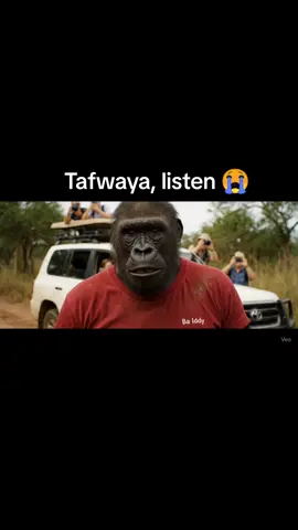 Ama picture tafwaya #zedtiktok🇿🇲🇿🇲 #zambiantiktok #DRC #lubumbashi #zambiantiktok #truckdriver #zambiantiktok #tanzaniatiktok