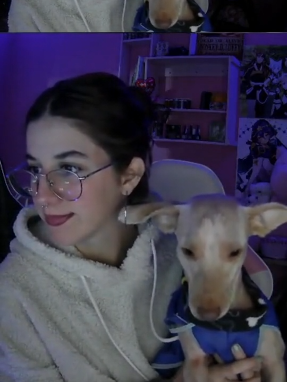 Les presento a Dobby jajajaj (mentira es Niro)🩷 #dog #mypet #mascotas #stream #streamer #twitch #uruguay🇺🇾 #paratiiiiiiiiiiiiiiiiiiiiiiiiiiiiiii #paratii 