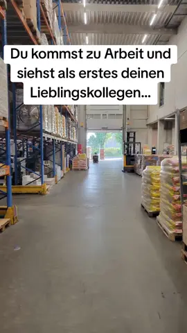 #Meme #MemeCut #CapCut #viral #kollegenliebe #lieblingskollege #arbeit #kollegen 