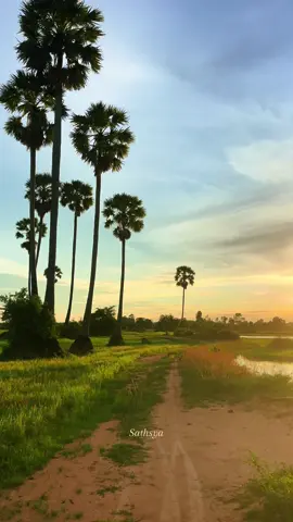 #ឱម្លប់ស្វាយដីគេ🤭😂មិនមែនដីបងទេ😂 #🥹🥹🥹 #tpyシforyou 