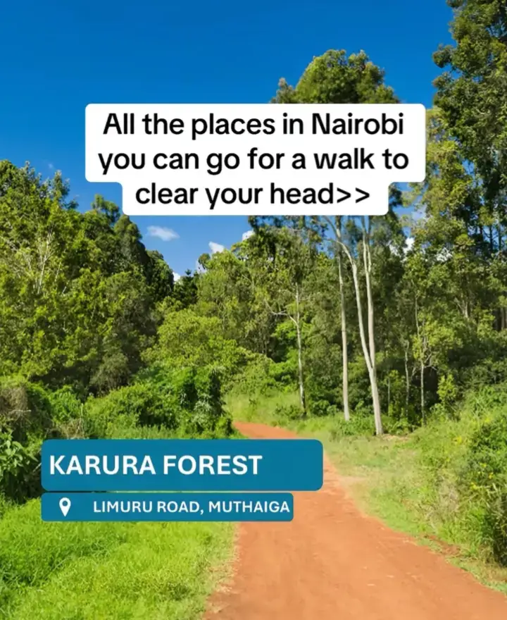 #tourguidelife #marketing #growth #trend #foryoupage #onthisday #kenyantiktok🇰🇪 #fyppppppppppppppppppppppp 