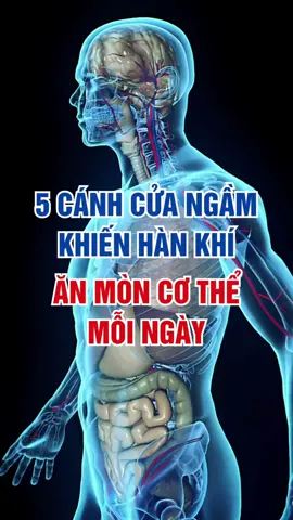 5 Cánh cửa ngầm khiến Hàn Khí ăn mòn cơ thể mỗi ngày! #suckhoe #songkhoe #songkhoemoingay #gan #than 