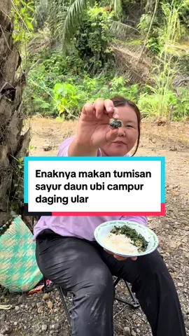 Makan tumisan daun ubi dicapur dengan daging ular ternyata enak banget #masakdikebun #makandikebun #kebun #masakular #tumissayur #anakkampung #fypage #kalimantan 