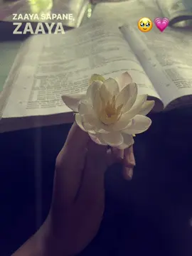 😌🤍✨#CapCut#flower#bangladesh🇧🇩 #viral #trending #fyqシ #fyqqqqqqqqqqqqqqqqqqqqqqqqqqq #fyqqqqqqqqqq#viral #trend#