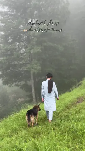 ہمارے جیسے دِلوں اور گھروں سے نِکلے ہوۓ اگر رہیں بھی تو “غلط فہمیوں میں رہتے ہیں ۔✋🏻