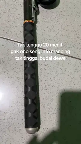 anti ngenteni konco😭#mancingmaniamantap #mancingliar #storymancing #nilamerah #ikanpredator #mandiri 