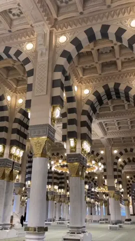 الوداع#الوداع#يارسول#الله🥹🕊️