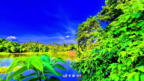 আজ আকাশে কোনো অভিযোগ নেই।”😊  #creatorsearchinsights #প্রকৃতি #sky #unfrezzmyaccount #viralvideo #viral_video_tiktok #foryoupage #tiktokbangladesh #trending #greenscreen #foryou #viral #viraltiktok@kamrul_f5 