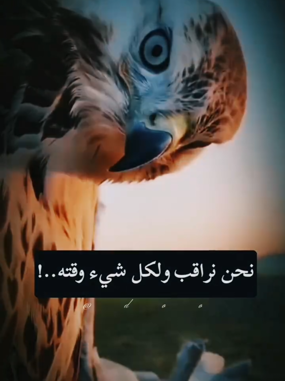 #CapCut #👑 #almhyub2 #🦅 #اكسبلور 