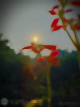 .তুমি মানুষ খুব তুচ্ছ 