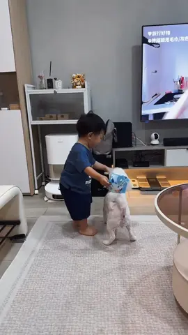These dogs don’t ask—they just grab!🤣🤣#funny #dog #funnyvideos #baby #fyp #foryou #tiktok #dogsoftiktok 