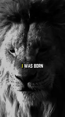 I was born with nothing no matter money  . #motivationlord#motivation#inspiration#quotes#lifelesson#sussess#lifequotes#