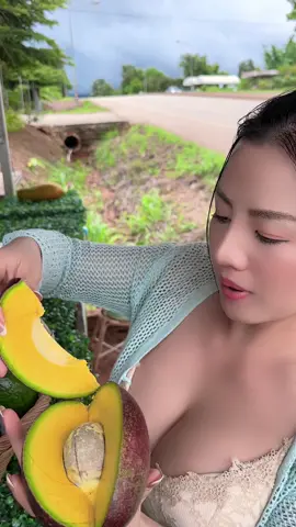 อาโวคาโด พันธุ์อะไรคะเนี่ย 🥑