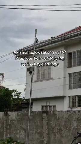 piloun Haha #fypシ゚ #viral #vietnam 