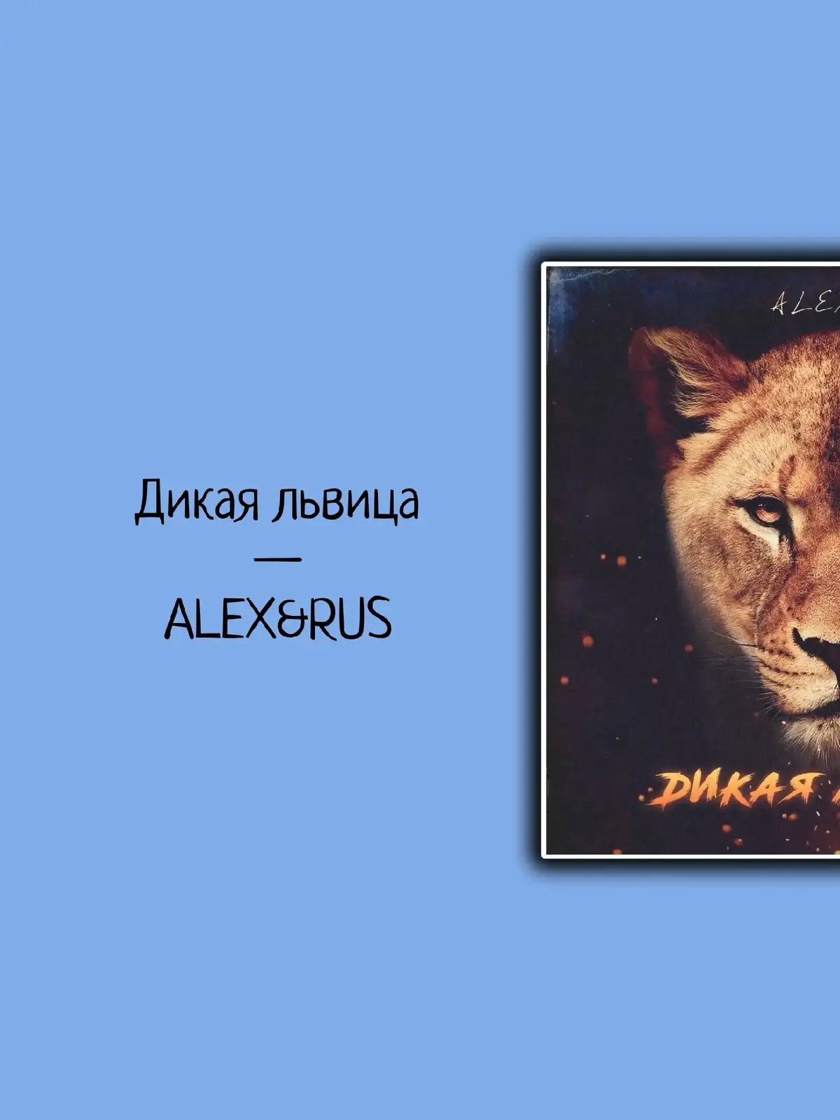 Трек: Дикая львица🦁❤️ #alex #rus #music #recommendations #рекомендации #fyp #текстпесни #трекикоторыеищут