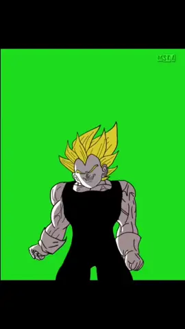 vegeta green screen #maxd0c #fondvert #greenscreen #foredit #edit #manga #w #fyp #fypp #popular #pourtoi #vegeta 