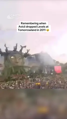 One of the all-time Tomorrowland moments 🙏 #avicii #levels #tomorrowland #dj #nostalgia #edm 