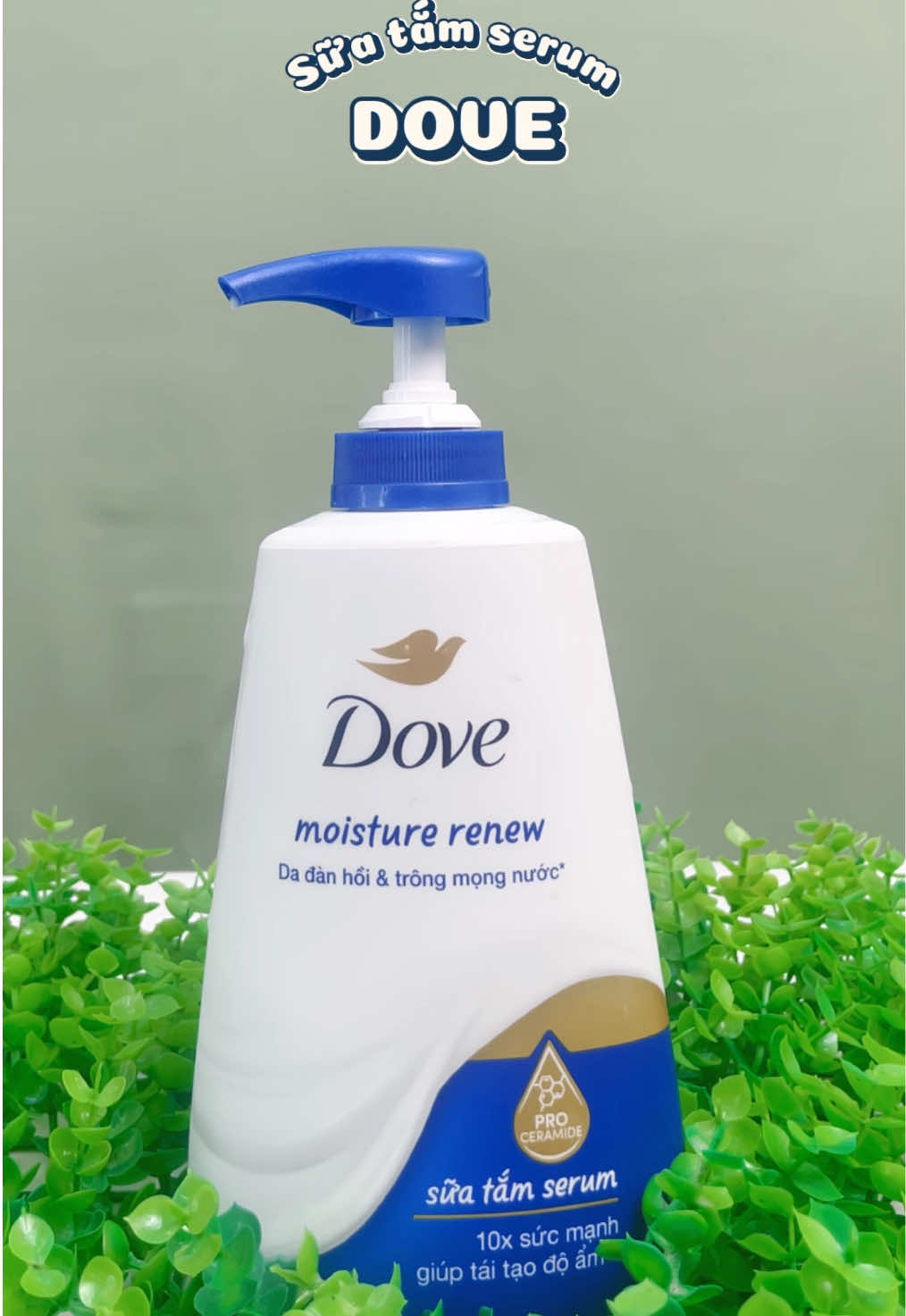 Sữa tắm serum Dove - dưỡng da, cấp ẩm 💕 #dove #unilever #homeliving #suatam #cholivestream 