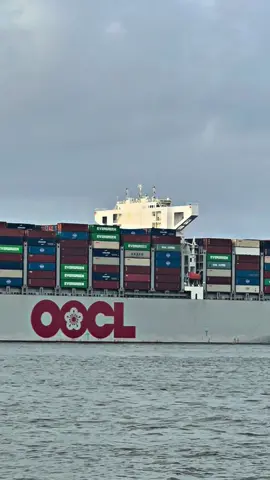 OOCL #popeye #storypelaut #pelautpunyacerita #pelaut #seamen #seaferer 