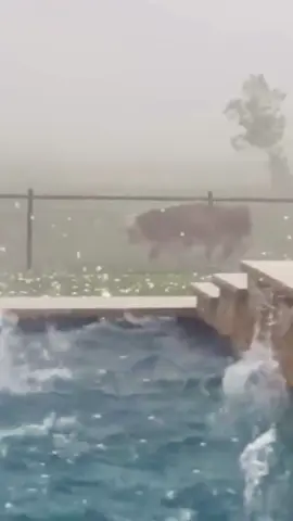 Massive hail #satisfying #hail #wearher #oddlysatisfying #fyp 