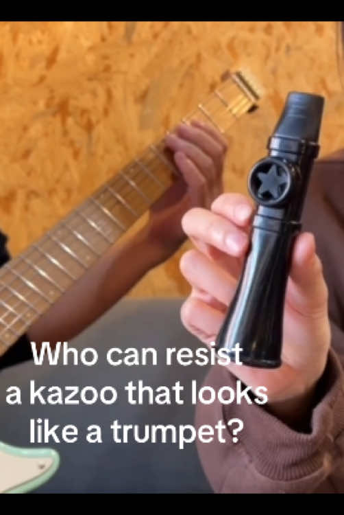 Who can resist a kazoo that looks like a trumpet?#betsykazoo #kazoo #kazoocover #music 