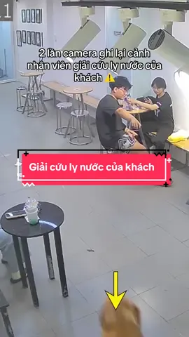 Chấm bạn nv này bao nhiêu điểm đây mụi người 🥰🥰🥰 #cherrypetcoffee #cafethucungsaigon #cafethucung #haihuocvuinhon #xh 