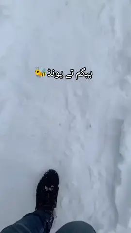 part56 samj a gi🤣 #100k #unfreezemyacount #gorw #views #tardingvideo #foryoupage #viewsproblem #tiktok #fyp @tiktok creators 