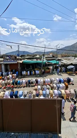کرم امن مارچ 