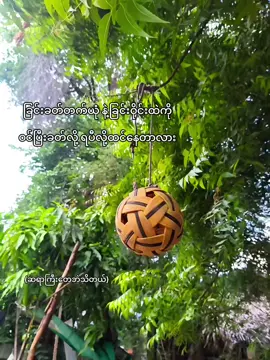 မလွယ်ကူဘူးး😇#ပိုက်ကျော်ခြင်းချစ်သူများ #ပိုက်ကျော်ခြင်းဝါသနာပါသူတစ်ဦးပါဗျ #အားကစား #ဝါသနာတူညီကိုများအတွက်ပါ #fpyyyyyyyyy #foryou #4u #livephotos 