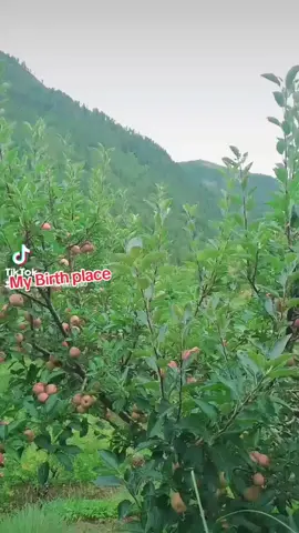 #jumla_nepal #1klikes🥺💓✨viral_video ##tanaosrithesecretofthehorizon #creatorsearchinsights @Ni..Ru😘 @Sky______Angel🫂💞 