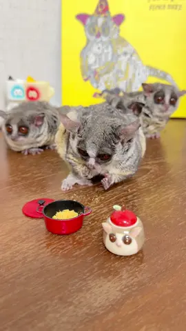 今日は卵のおやつ🍳 左から順番に…誰かわかるかな！？🐵🐵🐵🐵