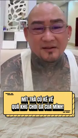 mít trà cú kể về quá khứ chơi gà của mình#mittracu #danghuutien #dagathomo #dagatructiep #viral #xuhuong 