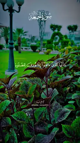 Beautiful Quran recitation by Sheikh Ali Jaber | blessed friday #friday #يوم_الجمعه #جمعة_مباركة #علي_جابر #قران_كريم 