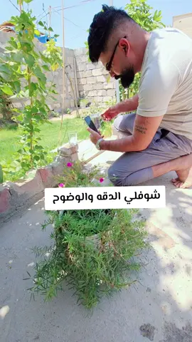 تصوير سينمائي